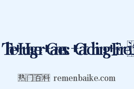 The+Hunger+Games:+Catching+Fire造句是什么意思的图片